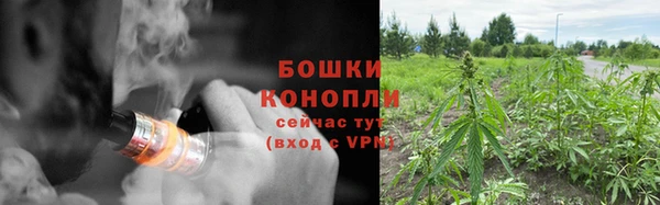 дмт Касимов