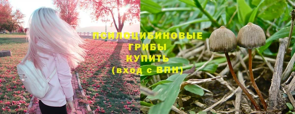 2c-b Карпинск