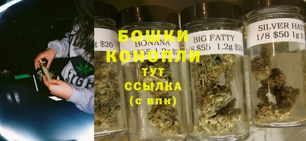 дмт Касимов