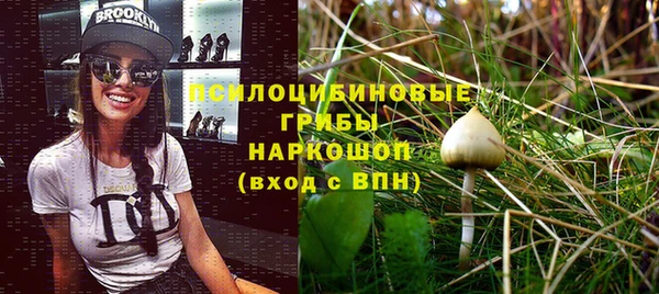 дмт Касимов